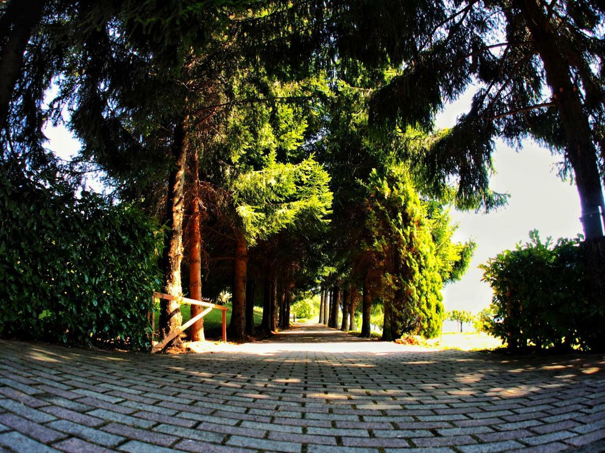 Casa Vacanza Pratolungo Villa Zogno Exterior foto